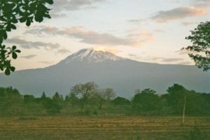 climb mount kilimanjaro